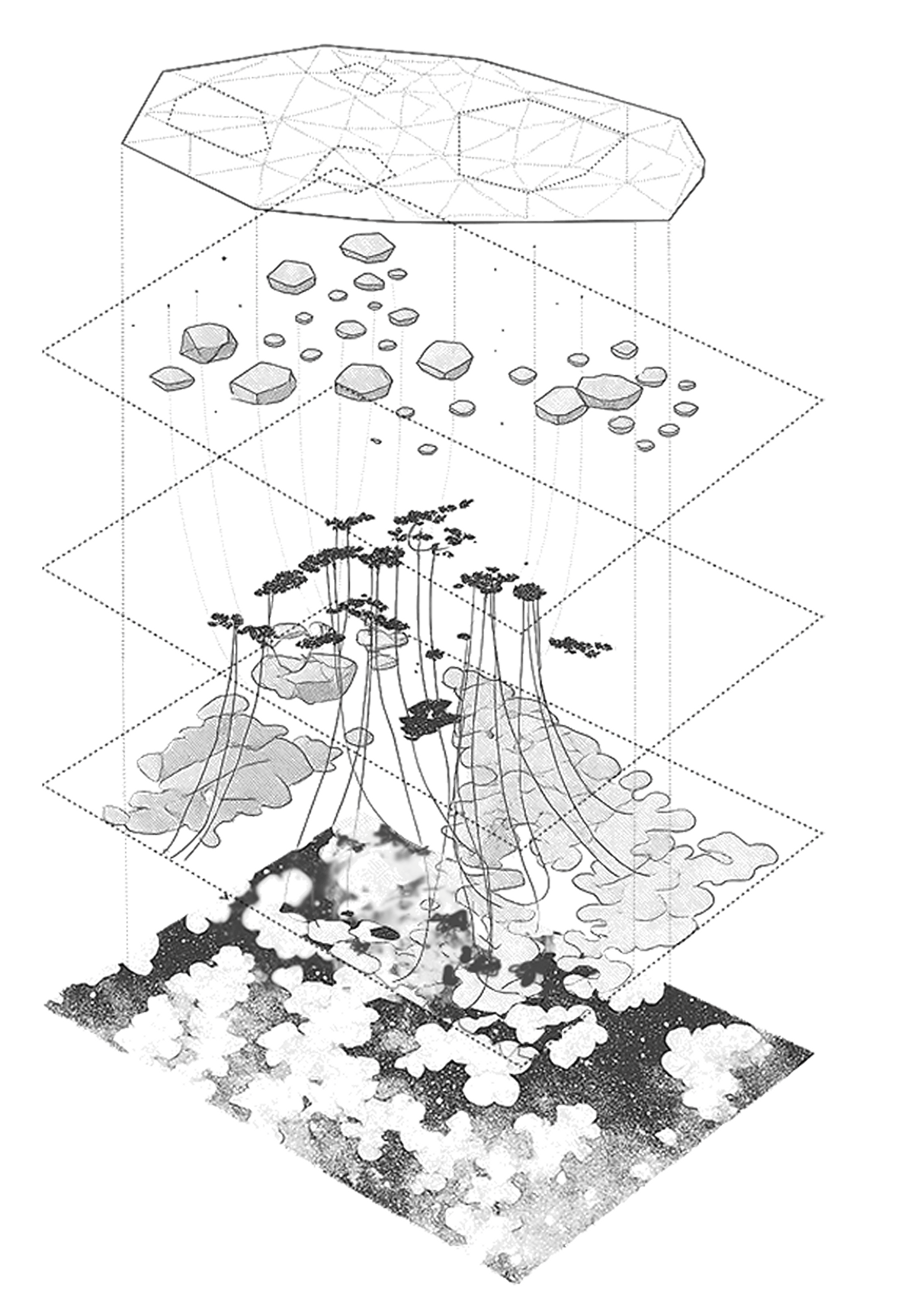 Brain Circuit